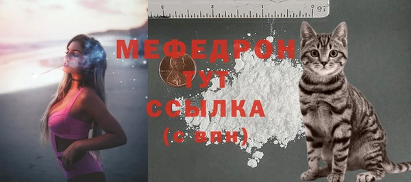 хмурый Инта