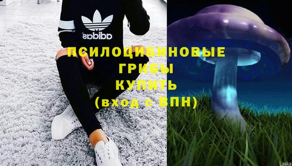 а пвп мука Инсар