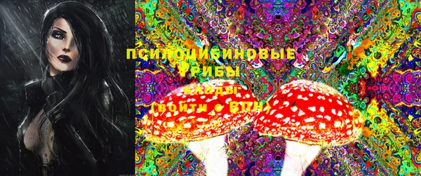 хмурый Инта