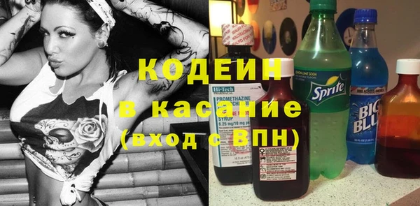 хмурый Инта