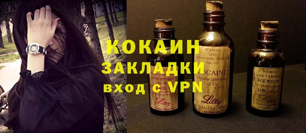 хмурый Инта