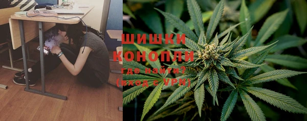 хмурый Инта