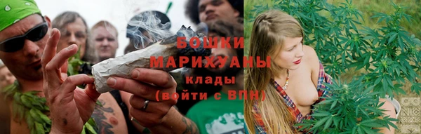 хмурый Инта